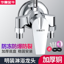 All copper surface shower mixing valve hot and cold water faucet water heater solar shower cover tube switch mixing valve