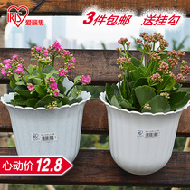 Alice flowerpot WALL resin semicircular balcony gardening WALL hanging green plant hanging orchid planting pot delivery adhesive hook