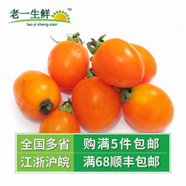 (Old one fresh) fresh yellow tomatoes yellow cherry tomatoes tomatoes 500g