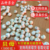 Fritillaria Fritillaria 500 kt grade Fritillaria cough Chinese herbal medicine Non-Tongrentang wild pine shell powder