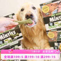 Oral cleaning is important new products US Minties Mancleaning Tooth Bone Pet Pooch Deguts to Tooth Scale
