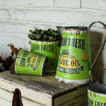 Foreign trade groceries-European and American pastoral style green gardening flowerpot literary hipster multi-meat flower box flower arrangement duckbill pot