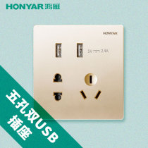 Hongyan household double USB five hole with switch socket Q3 pure Yue big panel champagne gold 86 halfway wall switch