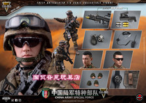 (Order received)SoldierStory SS119 1 6 Chinese Army Special Forces Falcon 2015