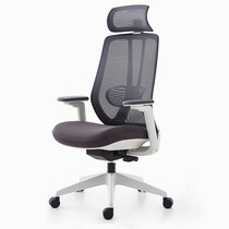 Designer chair body ergonomics chair can lie down waist boss chair mesh fabric computer chair home electric race chair office chair