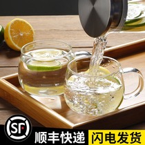 Thickened glass teacup Household set Coffee cup Flower tea cup Tray set with handle cup Master cup Kung Fu tea set