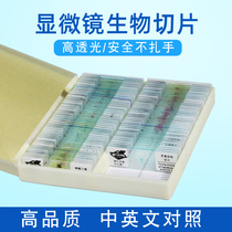 Biological mirror specimen slicing childrens middle school students teaching Set animal and plant cell slide experiment 25 kinds 50 kinds