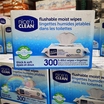 Shanghai Costco American imported Nice n Clean wet toilet paper 60 pump bag easy to carry wet wipes