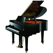 Zhujiang Weiten W8 ultra high quality professional triangular piano