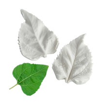 New Pint English-style emulated Candy Flower Dry Pace Textured Silicone Mold Bread Flower Leaf Mold Sunflower Leaves