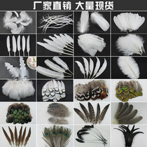 Factory direct diy jewelry accessories material feathers white wedding feathers turf feathers handicrafts decoration