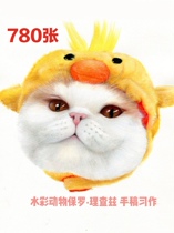 780 watercolor animal Paul Richards manuscripts