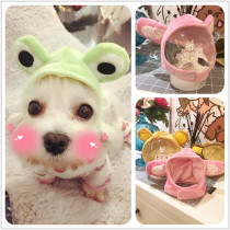 Cute cute cute cute ~ dog hat selling cute change hat ~ Bibear hat pet hat Yorkshire