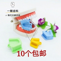 Dental material Oral material Occlusion Cushion Opening Instrumental of the endodontic support in large and small size