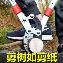 Garden Sheared Prunes Prunes cut fruit trees Prunes Prunes Tree Techniques Strong Carbon Steel Tree Sheared Tools Greening Long Handle