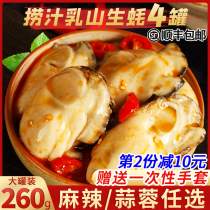 Ready-to-eat oysters spicy garlic spicy small seafood cooked milk mountain oysters fresh oysters 260g large cans