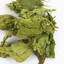 Dragon Cat Mulberry Leaf Supplies Pet Bao Fresh Mulberry Leaf Hay Hay Pasta 50g Dry Mulberry Leaf Dragon Cat Grass
