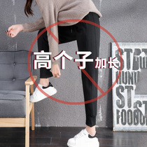 Long pants women 175 taller plus velvet pants autumn and winter thick sports pants loose bunch foot radish cotton pants