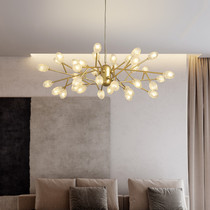 Postmodern minimalist living-room chandelier Nordic light lavish creative personality Bedroom Book room Acrylic Iron Art Lamps