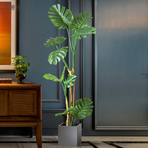 Roman Mother Nordic Light Extravagant Emulation Green Plant Potted Large Tortoise Back Bamboo Fake Plant Living-room Floor Pendulum decoration