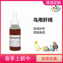 Hot selling parrot birds with liver sperm supplement physical strength Physique Birds Stocky Stocky Stocky Stocky stocked with tiger leather parrot