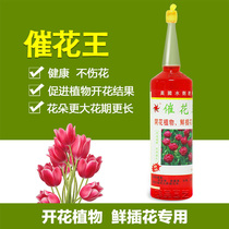 Flower King Flower Nutrient Solution Hydroponic Fertilizer Tupe-pei Floral Fertilizer Orchid Peony Flower Fertilizer Organic Fertilizer