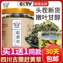 Buy 1 send 1 Xuanqing Gulin catch yellow grass 500g Chinese herbal medicine Non-grade wild yellow grass liver health tea