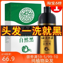 Hair dye one wash black shampoo natural black shade white hair pure plant yourself at home hair dye head cream for men and women