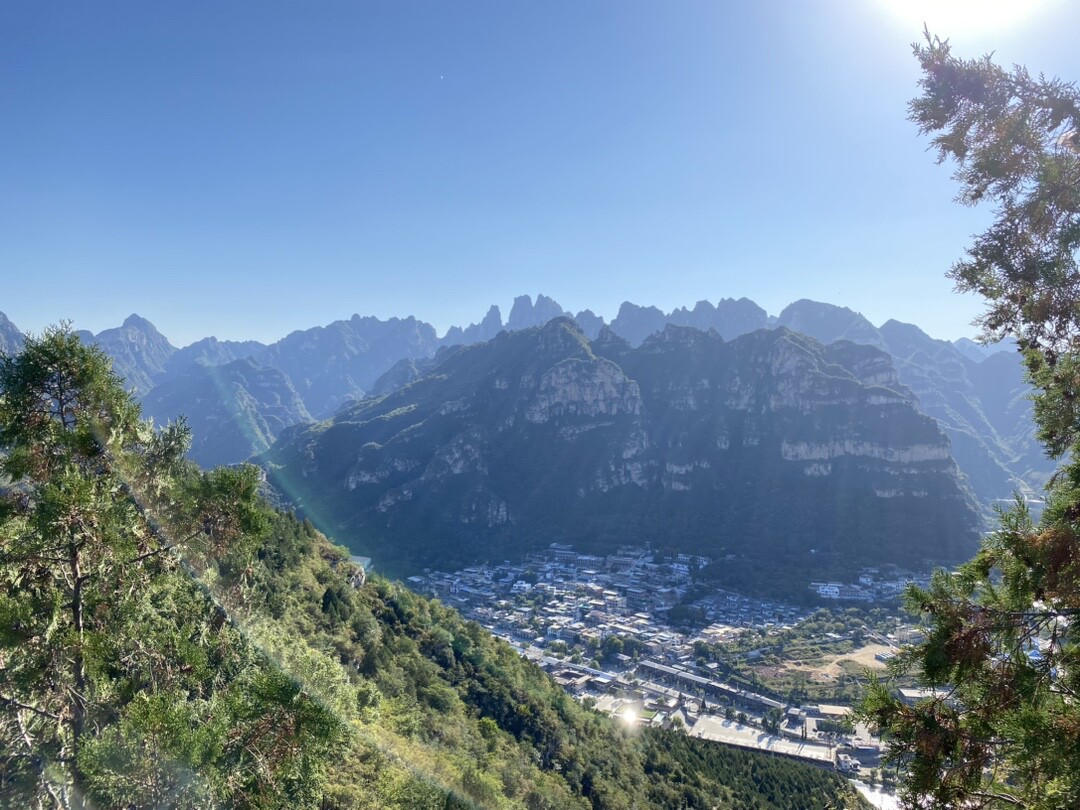 Фото отзыва