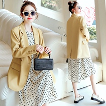 Pregnant womans autumn dress jacket mid-length pregnancy mid-stage large code wind coat Korean version loose autumn long sleeve blouses coat