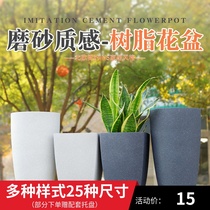 Universal Imitation Cement Flowerpots Large Caliber Domestic Tiger Pilan Indoor Potted Plant Seed Trees Imitation Pottery Frosted Resin Generous