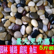  Multicolored natural pebbles rain stone rough fleshy flower pot fish tank decorative stone small stone courtyard shop