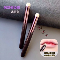 Mouth Red Fainting Brush With Round Head Lip Brush KUMO Lip Makeup Brush Mist Facial Lipstick Multifunction Mini New flawless brush