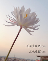 Simulation of the Epiphany long pole ancient wind photo shooting fake flower Hua Yimeng Hanfu hand-held props lotus flower another shore flower plum