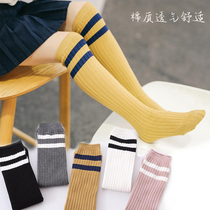 Childrens stockings over-the-knee spring and autumn girls socks dui dui wa cotton semi-high socks white students stockings