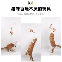 Cat Toy Steel Wire Teasing Cat Rod Feather Bell Pan Teasing Cat Stick Kitty Interactive Teasing Cat Gods Pet Supplies