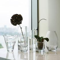 ladylike export British Glass Vase ornaments living room transparent hydroponic flower arrangement simulation flower
