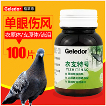 Gladcoat chlamydia chlamydia dove drug mycoplasma infection with single eye injury phoenix and tears cough and respiratory dove medicine