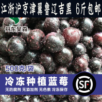 Badminton_frozen blueberry 500g) frozen blueberry fresh planting Dandong Big blueberry Shunfeng
