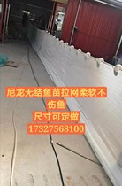 Nylon net pull net Trawling clear pond net fishing net partition net purse seine fish cage lift net small fry pull fish net