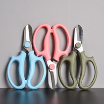 Gardening Floral Scissors Wide Head Household Flower Scissors Flower Cropping Branches Pruning Tools
