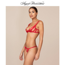 WILLA UK Extravagant dresses Pants AgentProvocateur Sexy Flowers Underpants Womens Holiday Gifts