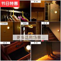 Wall Lights Led Body Charged Voice-controlled Small Night Light Bedroom Up Night NEW Lou Aisle Aisle Home Sensing Photos