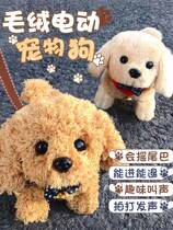 Child Emulation Pooch Toy Walk Will Be Called Baby Electric Plush Puppy Girl Pet Electronics 61 Gift