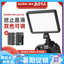 Divine Bull LED P120C P260C tonic light lamp main cast lamp adjustable color temperature camera lamp light and thin wedding LED photography