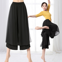 Modern dance wide leg pants Elegant Chiffon loose dance pants Female dance pants Latin dance pants Classical dance practice pants