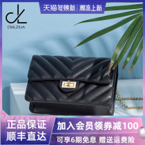 Bag 2021 New Tide chain shoulder bag large capacity small square bag niche design leather Women bag crossbody small bag