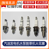 Applicable Yamaha Honda petrol generator F7TC E6TC E6TC A7TC D8TC D8TC-billed spark plug accessories