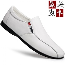 Autumn new mens casual leather shoes Korean version trendy 100 hitch genuine leather soft face bean shoe mens small code white