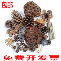 Taiwan pine fruit dried lotus Lotus Cedar Tower cotton dried flower forest material package diy manual kindergarten ring creation material
